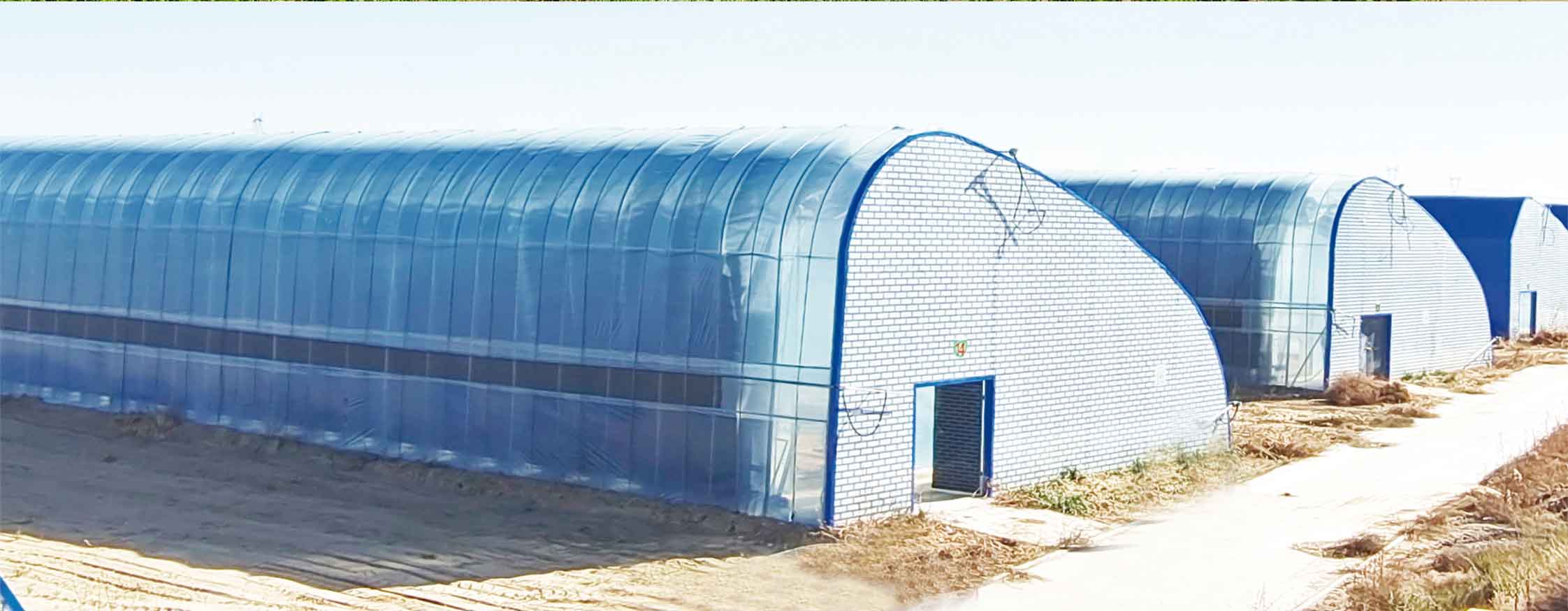 2、冬室夏棚網(wǎng)頁_10.jpg